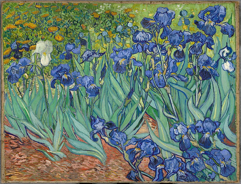 lirios van gogh