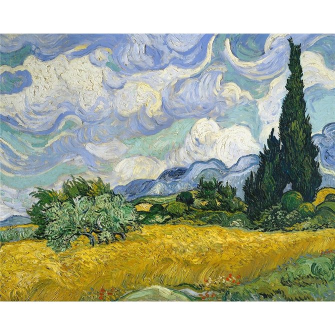 wheat field with cypresses